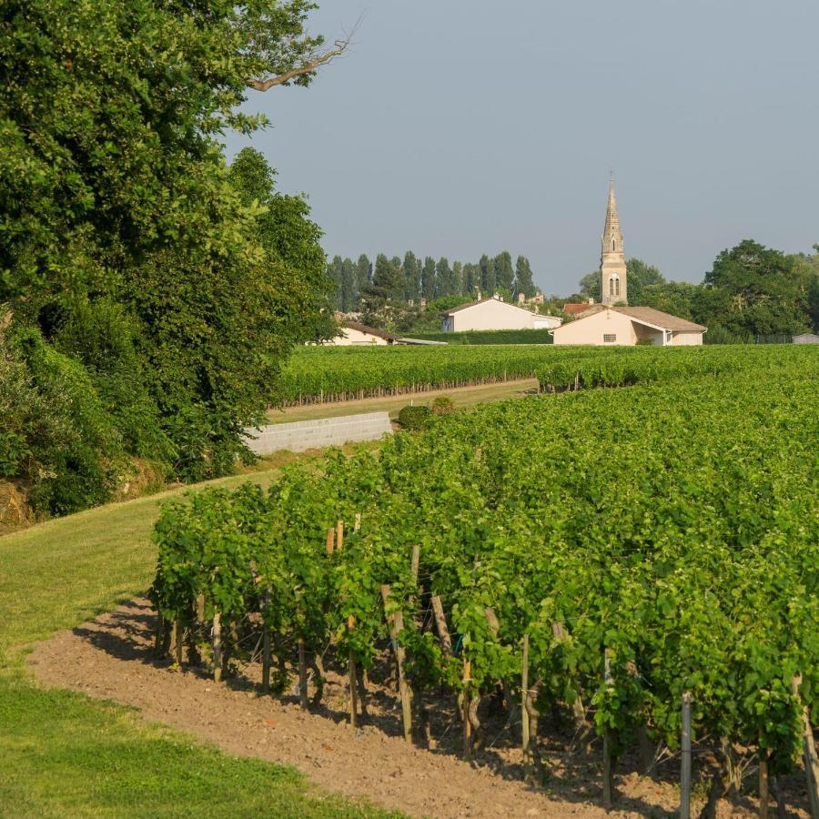 Clos De Bertinat Saint-Sulpice-de-Faleyrens ภายนอก รูปภาพ