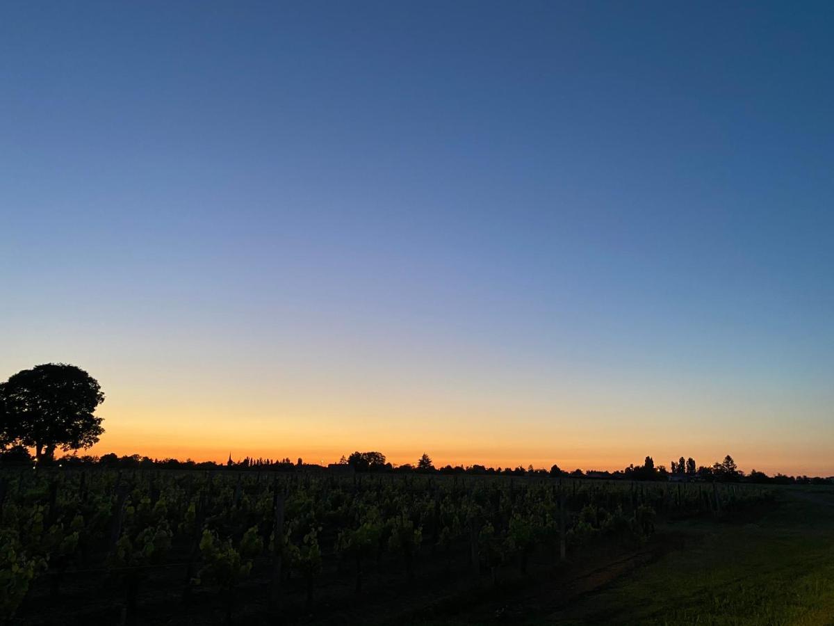 Clos De Bertinat Saint-Sulpice-de-Faleyrens ภายนอก รูปภาพ