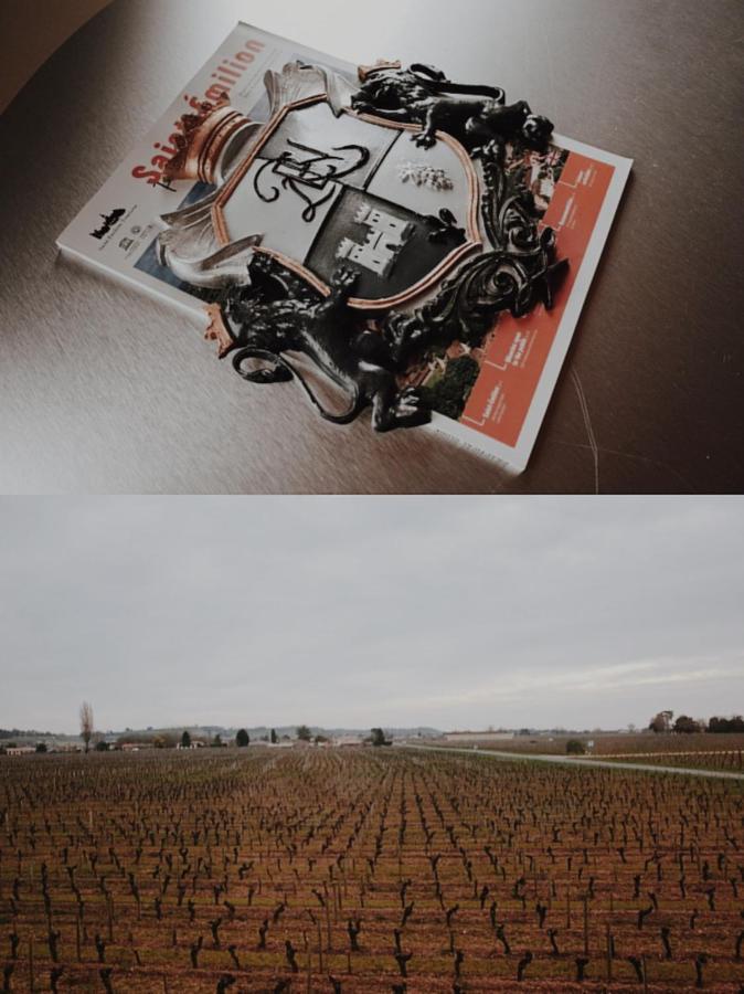 Clos De Bertinat Saint-Sulpice-de-Faleyrens ภายนอก รูปภาพ