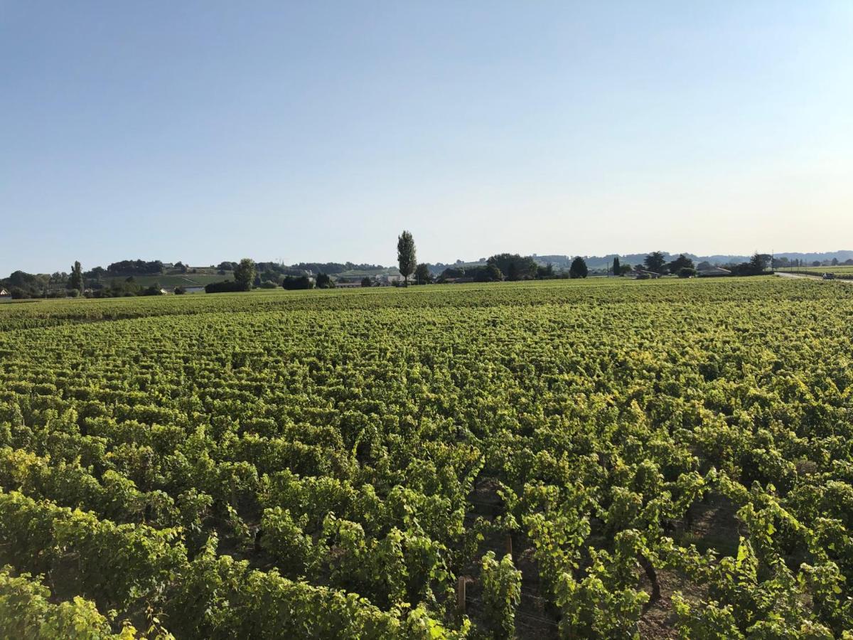 Clos De Bertinat Saint-Sulpice-de-Faleyrens ภายนอก รูปภาพ